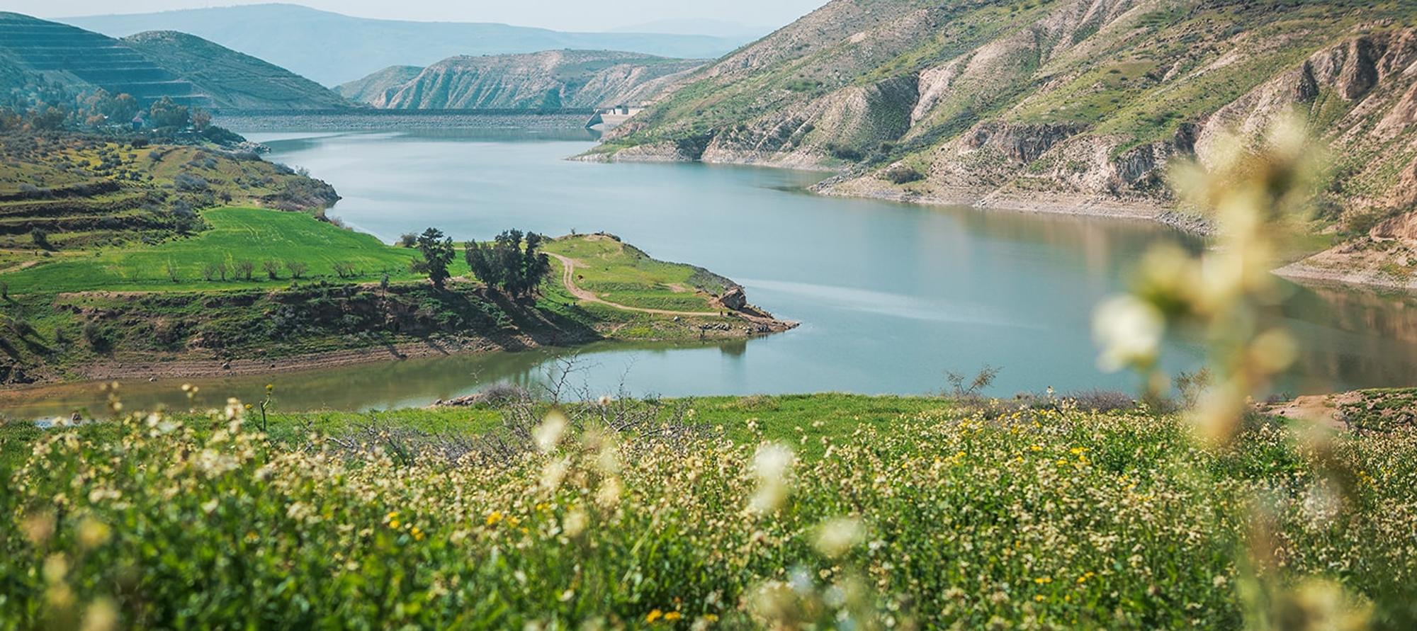 Umm Qais