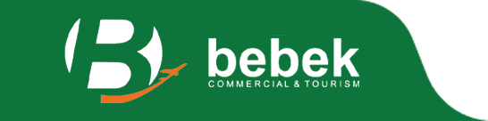 logo_bg_mask